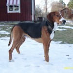 Byggmarkens_Drillo3