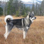 charlie_004