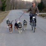 cykeltraning